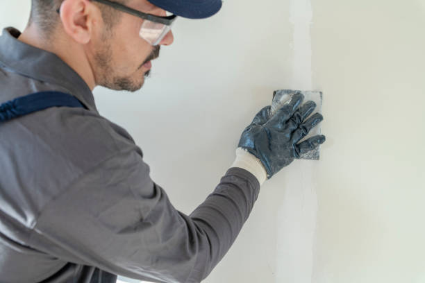 Best Attic Mold Removal  in Sitka, AK