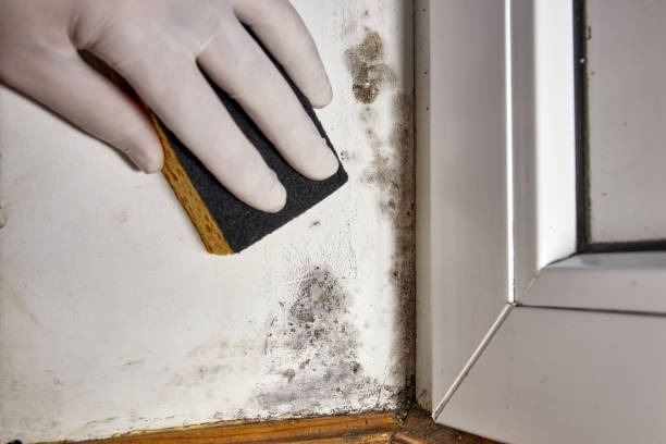 Dehumidification Services in Sitka, AK